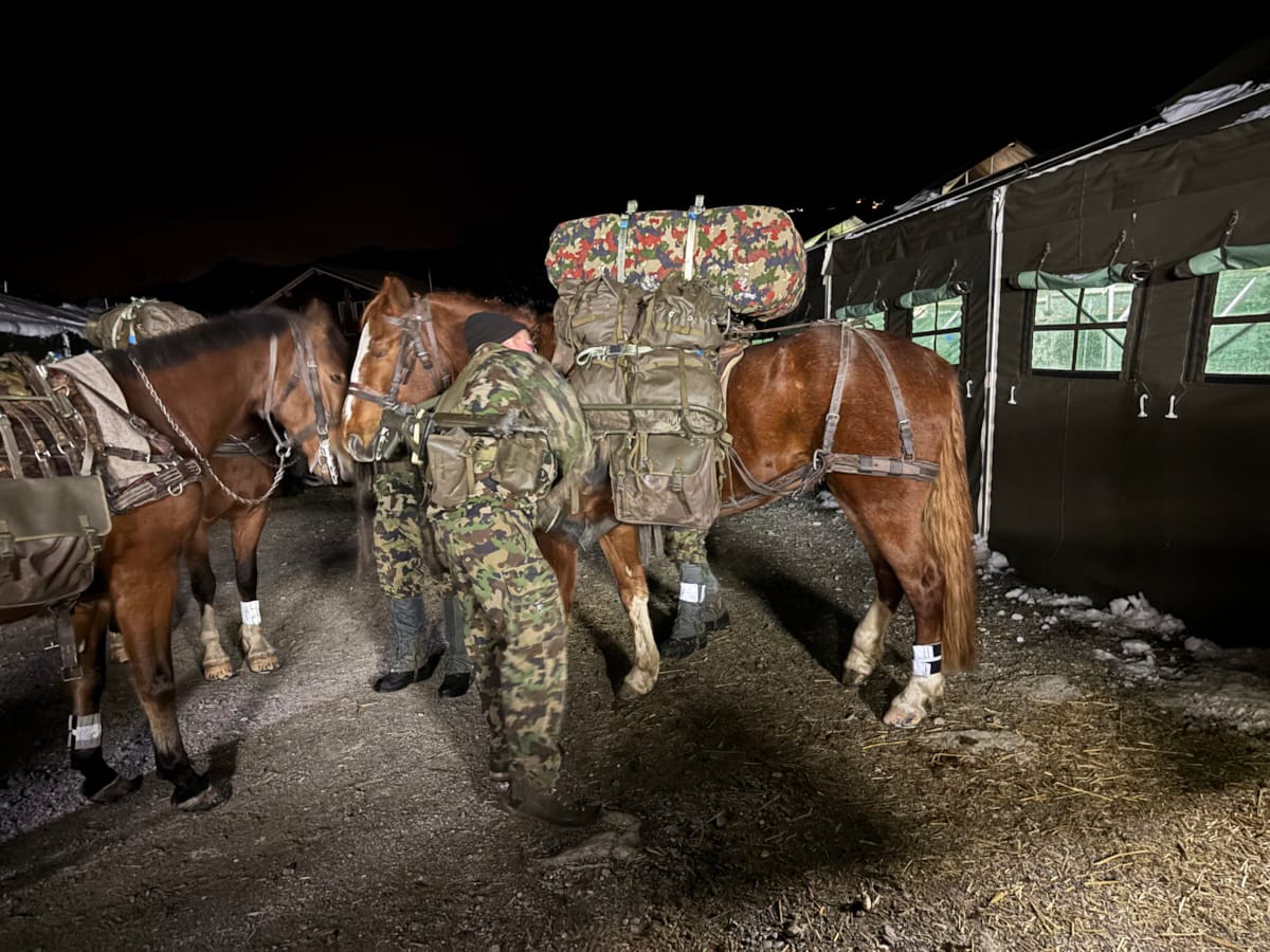 KOG SG Kurstag 2025 V2.0